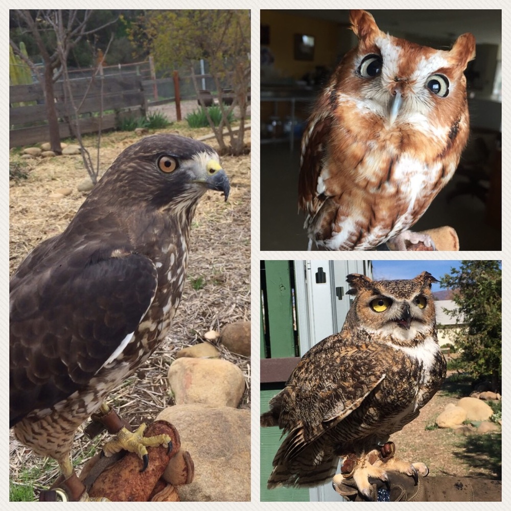 Happy Spring! - Picture 2 of 2